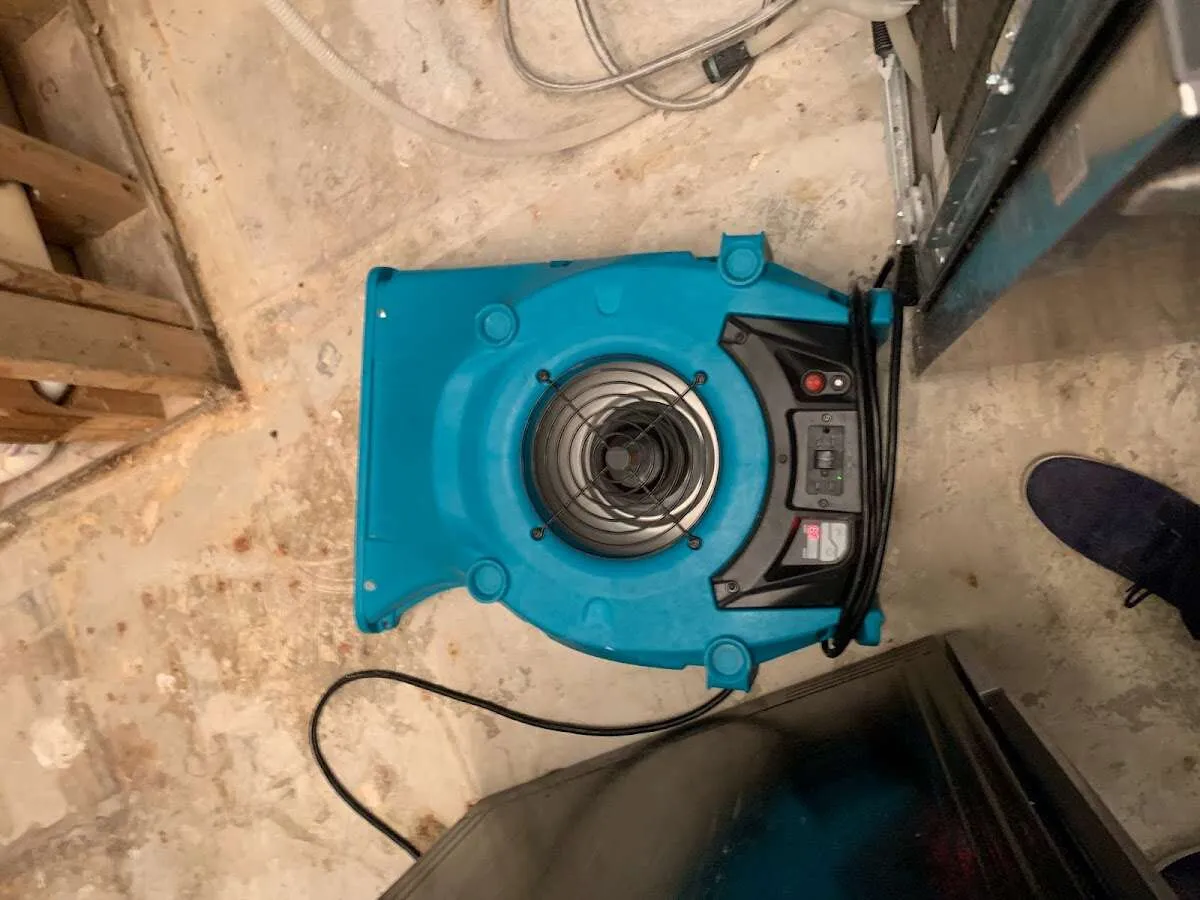 Air mover drying equipment for Mold Remediation & Removal in West Linn